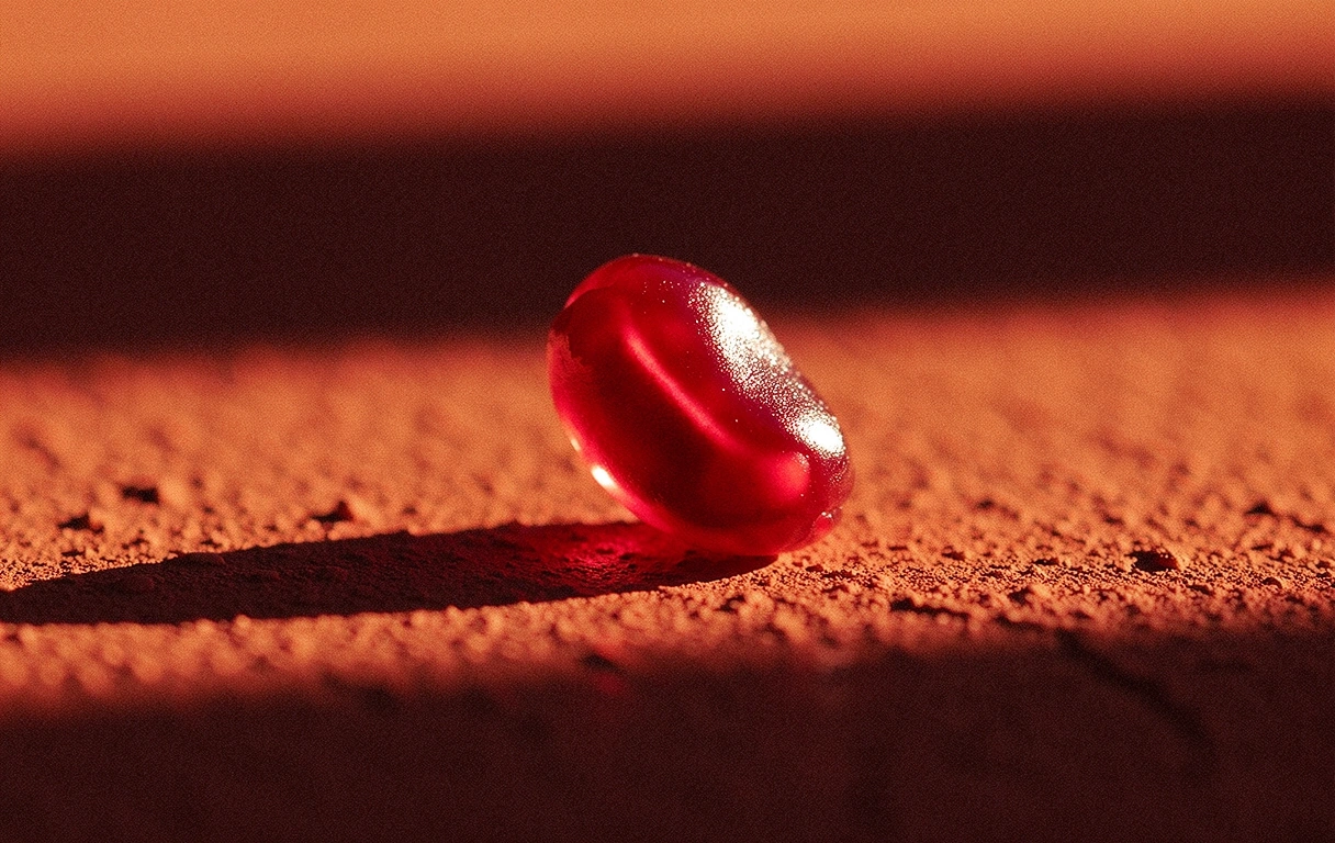 Detail der Natur